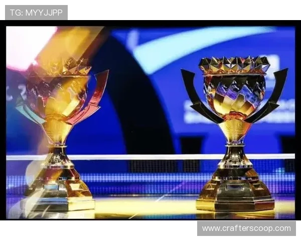 赛程落幕荣耀加冕赛后晒奖杯照两字留言展现无尽风采