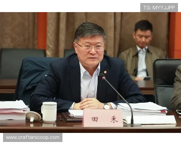 以银河集团为核心推动科技创新与全球产业协同发展战略研究